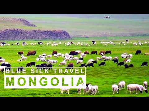 Mongolia | Orkhon Valley