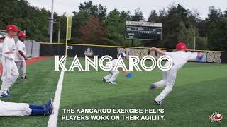 Rally Cap 28 | Kangaroo