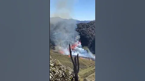 Western #Dzükou (Khonoma) catches fire #nagaland #news