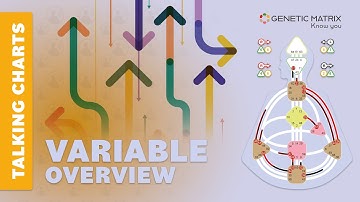 Human Design: Variable Talking Chart Overview