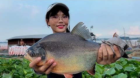 Trải Nghiệm Câu Cá Đêm Trên Sông Đồng Nai & Nấu Món “Canh Chua Trái Giác” Đặc Sản Miền Tây