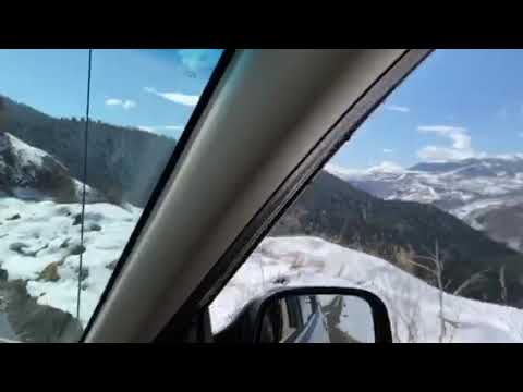 ჯარალ  2020