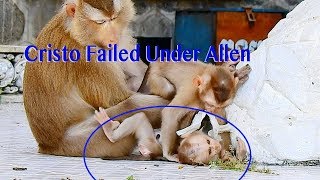 OMG Smart Baby Cristo Failed Down Under Baby Allen / How Smart Gorgeous Baby Cristo Playing ?