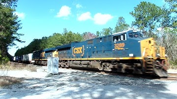 CSX Train Intermodal And Tropicana
