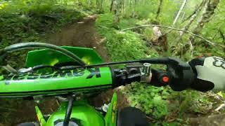 fun trail at tillamook