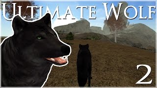 Hunting in the New Forest!! • Ultimate Wolf Simulator  Episode #2