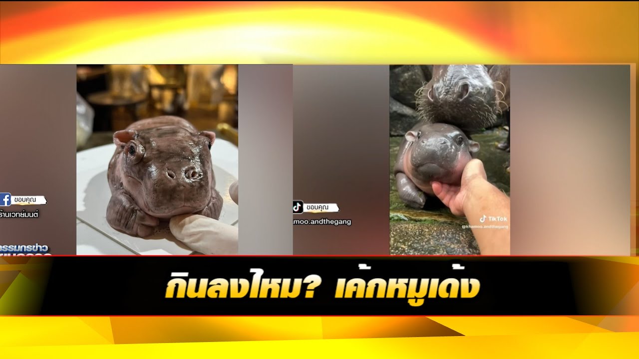 กินลงไหม? เค้กหมูเด้ง