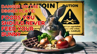 Danger on the Dinner Plate: Foods You Should Never Feed Your Bunny