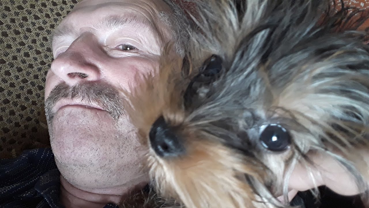 Новый ДРУГ лучше старых двух - YouTube