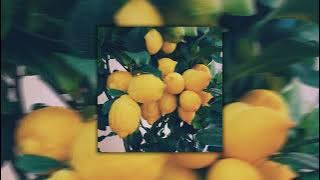 lemon tree - fools garden (sped up)