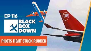 Pilots Fight Hardover Rudder To Regain Control Of Aircraft