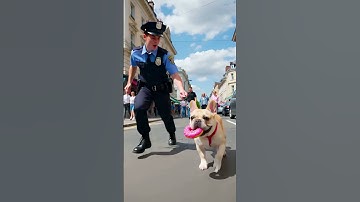 Police Dog#tutorialfilter #video
