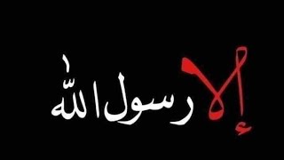 يغضب وينفعل من اجل رسول الله كلام جميل تسمعه #إلا_رسول_الله #في_حب_رسول_الله #فى_رحاب_السنة_النبوية