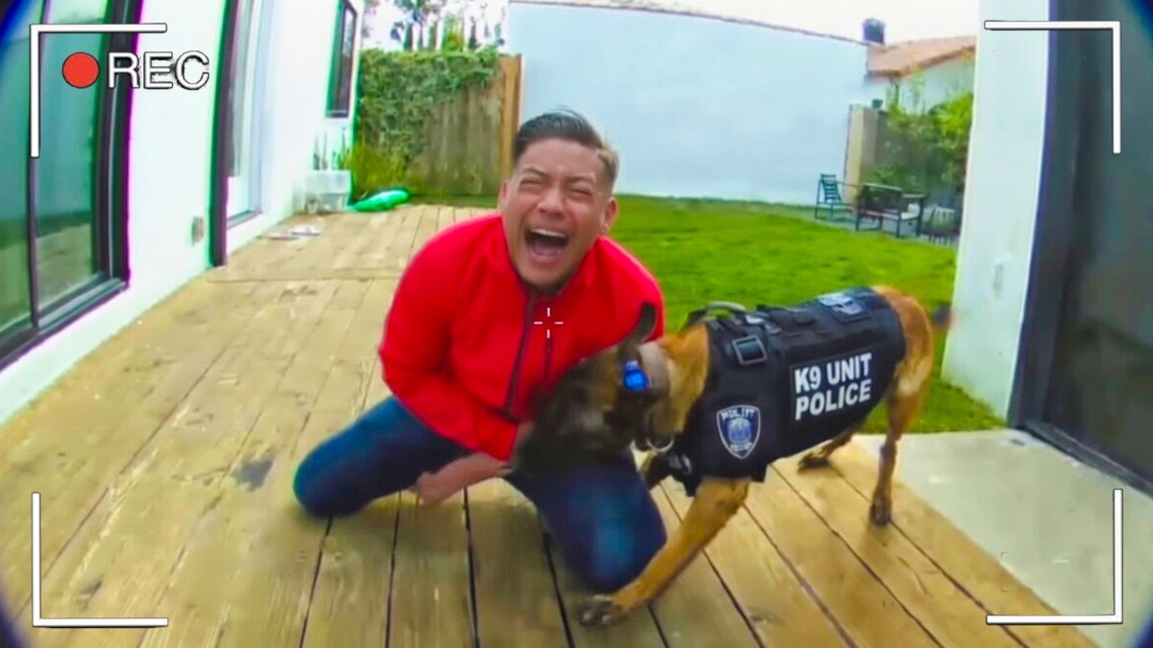 When Dumb Karens Mess With The WRONG DOG | Caught On Camera - YouTube