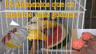 12 alimentos que os canarios mais gostam by Anésio M. V. B 834 views 4 months ago 24 minutes