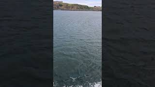 #tuglife #offshore #towlife