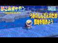 【ぽこあポケモン】164日目「うみのしんでんのための整地をはじめたよ」(つぼやきラジオ 休止中)