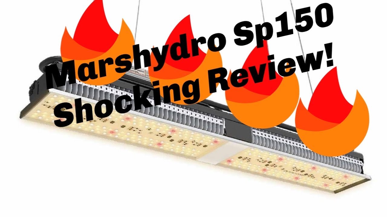 Marshydro SP150 Review That will Shock You! ⚡️⚡️⚡️🔥