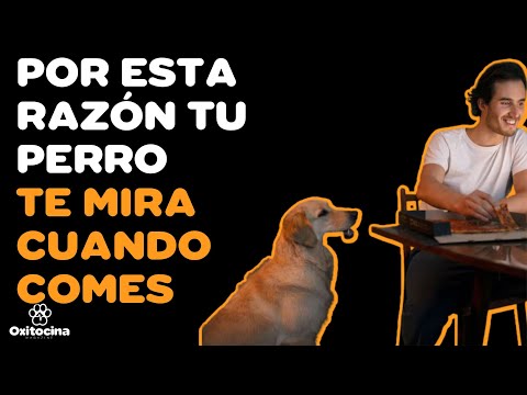 7 RAZONES POR