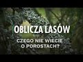 Czego nie wiecie o porostach  oblicza lasw 3