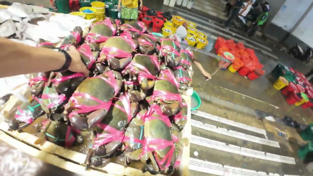 Cek Harga Ikan Di Pelelangan Ikan Muara Baru Jakarta Utara