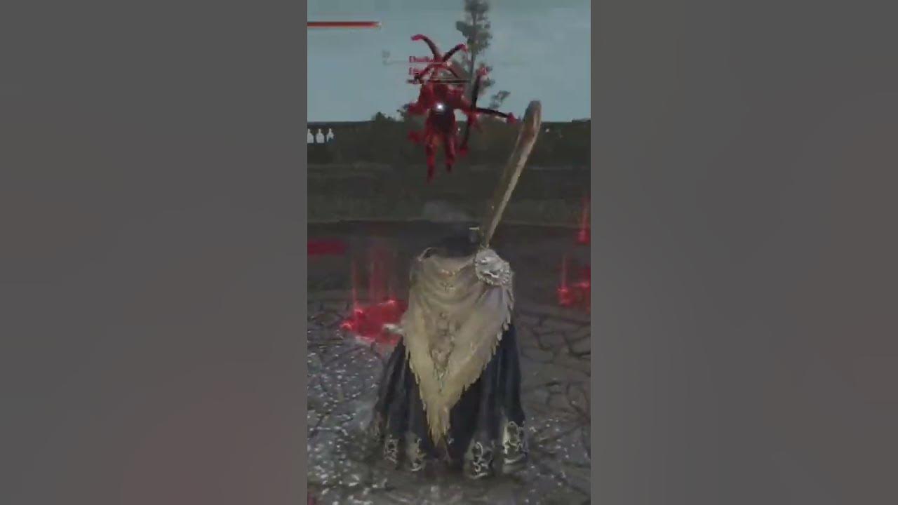 WOLFS ASSAULT VS SWORD DANCE ELDEN RING PVP eldenring YouTube