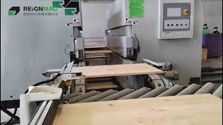 Reignmac Woodworking Machine Automatic Double End Tenoner Production Line For Solid Wood Furniture