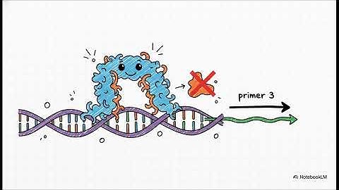 Info Processing  Transcription