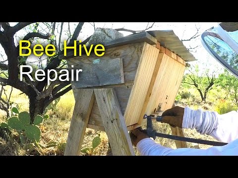 Bee Hive Repair - How To Fix A Top Bar Hive