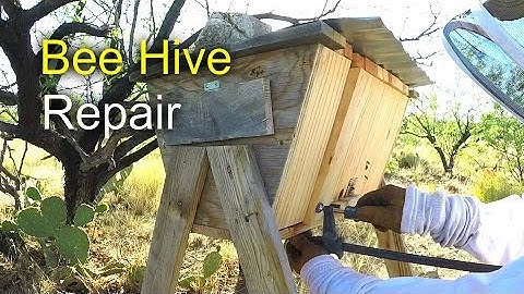 Bee Hive Repair - How to fix a Top Bar Hive