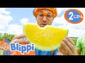 のうじょうにいこう | ブリッピ 日本語 - 幼児向け教育動画 Blippi