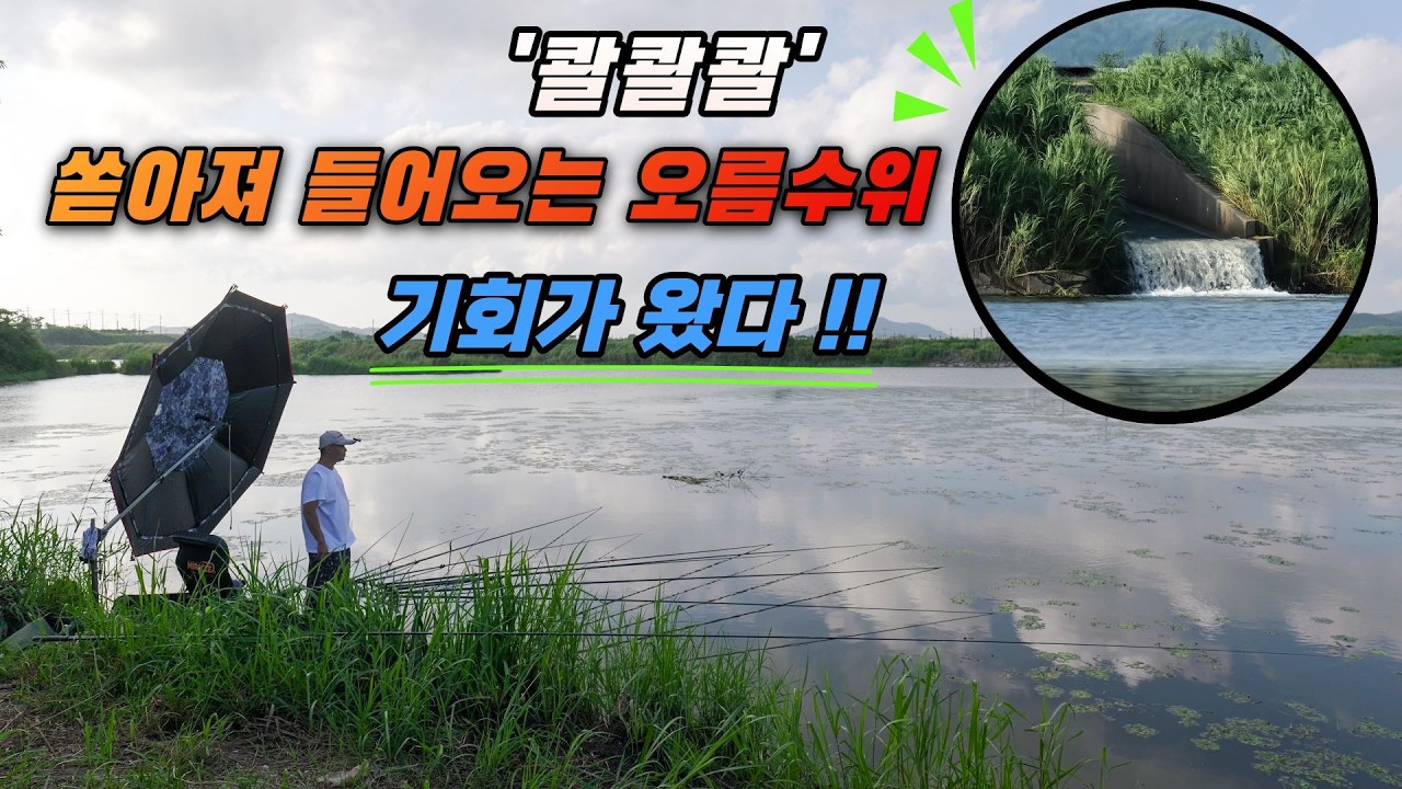 이 순간을 기다렸다 무슨 일이 벌어질까?