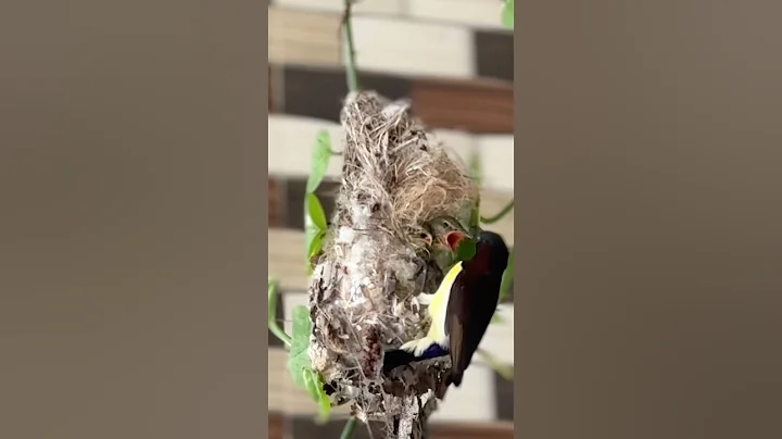 💝Nothing Stronger Than a Mom’s Love 💕  The Purest Bond on Earth |Captured by ME| #mom #love