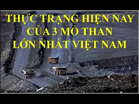 Video: Các giai đoạn khai thác là gì?