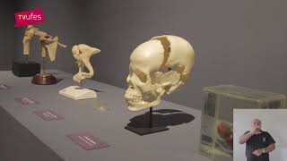 Museu De Ciências Da Vida É Inaugurado Na Ufes