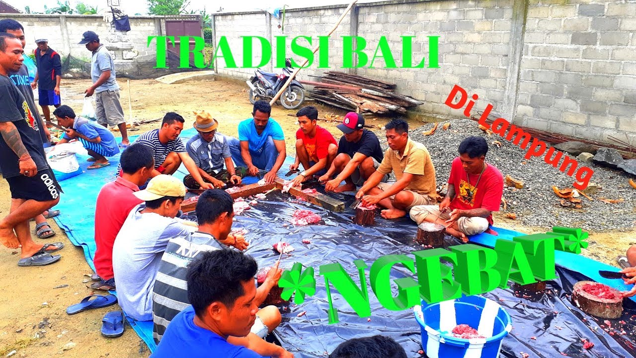 #TRADISI ADAT BALI,...NGEBAT, 