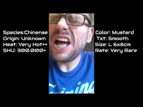[ Chilli Challenge ] - Tasting Ultra Hot and Rare Habanero Mustard ITA