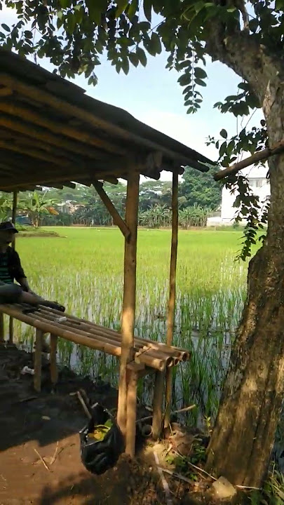saung sawah dan pemandangan alam yang indah