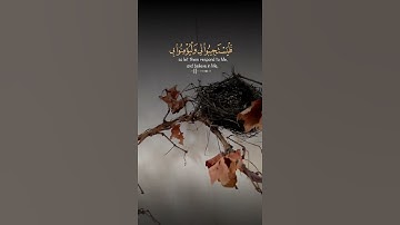 تلاوة هادئة تريح الاعصاب 💚 قران كريم💚  بصوت جميل  #القارئ_اسلام_صبحي