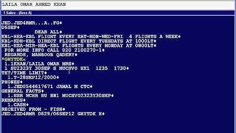 Sabre Training (PNR with additional fields)1.3