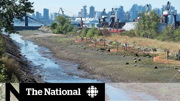 Using nature to defend against floods