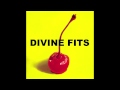 Divine Fits - For Your Heart