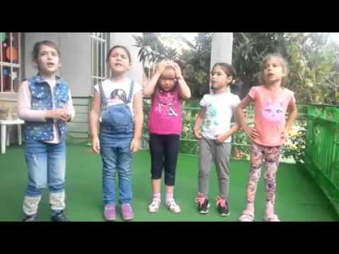 მაცაცერა