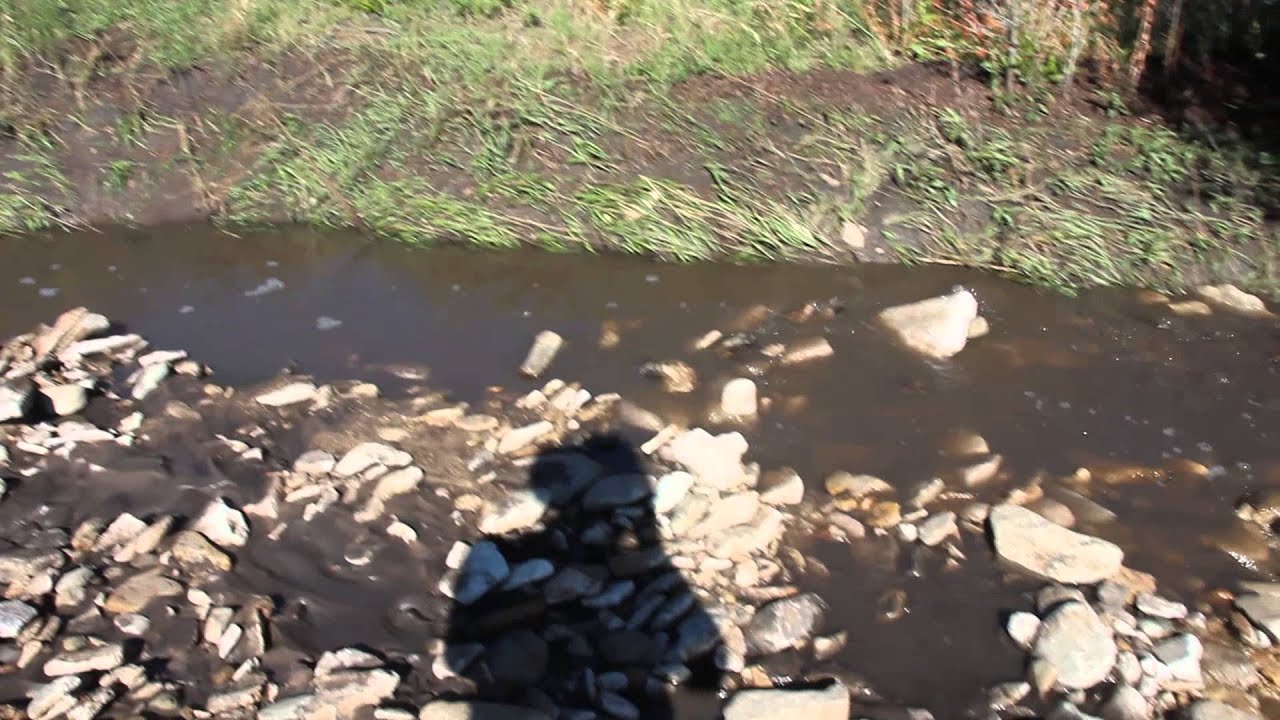 East Peak Fire, Burger pond flood damage and creek running with soot