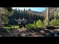 Backpacking to a remote lake, Fishing & Testing out new gear with our dog!
