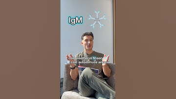 Easy tricks to remember: Immunoglobulins 🧪#medstudent #medschool #usmle #usmlestep1 #usmlestep2