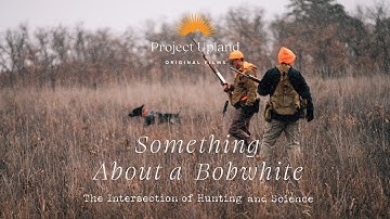 Something About a Bobwhite - The Intersection of Hunting and Science