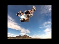 Tony Hawk's Pro Skater HD (OST-2012) - Pigeon John - The Bomb