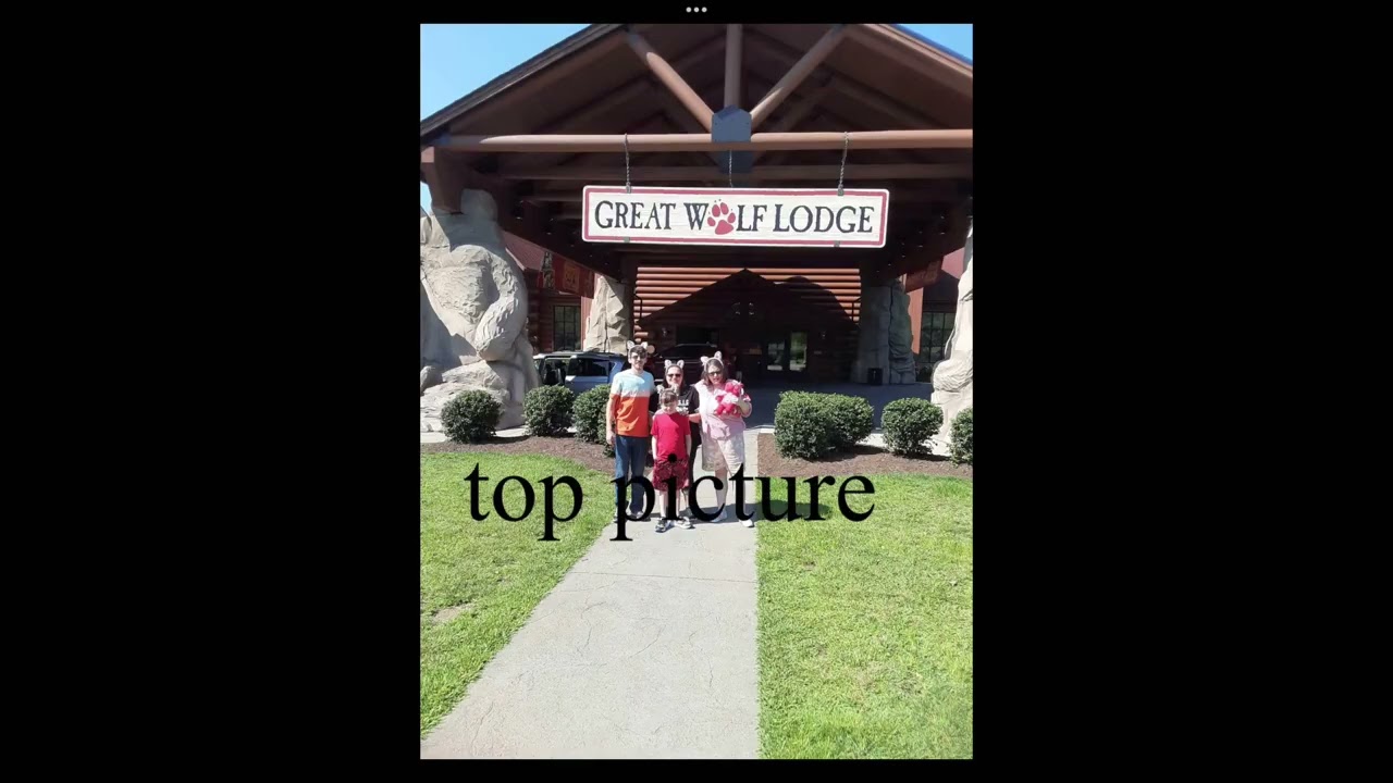 The steffey family tsf logo history outdated