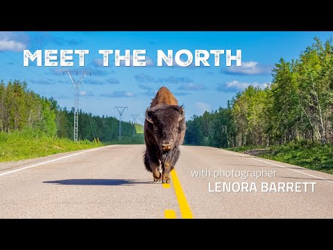 Video: Quando è il momento migliore per visitare Yellowknife?